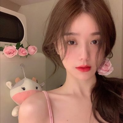 布里斯比熊